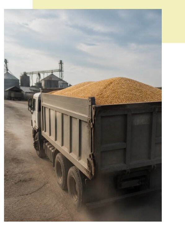 Перевозка сельхозпродукции навалом в Тулу по цене от 3051 р. | Агросервис-Тул